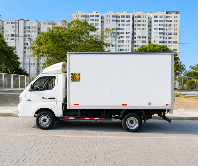 2004 Foton Forland