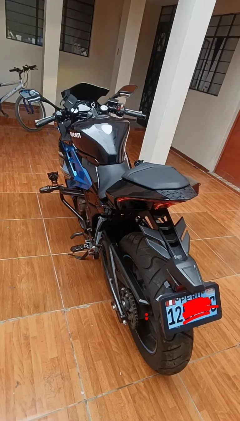 2024 Dynamic Nami Gt 250