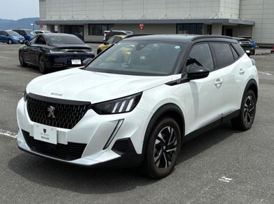 2023 Peugeot GTBLUEHDI