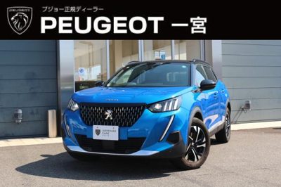 2023 Peugeot GTBLUEHDI