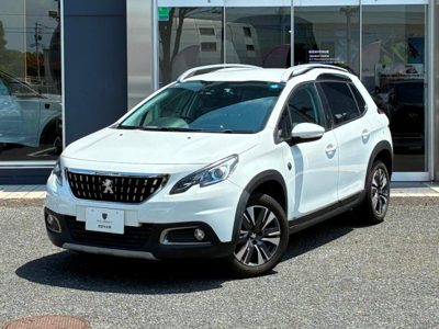 2018 Peugeot CROSSCITY