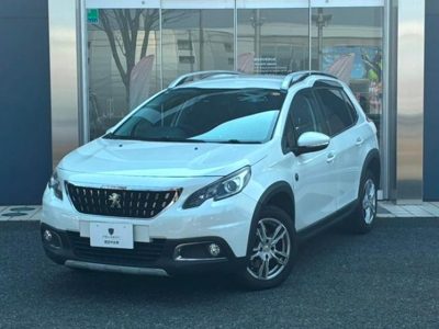 2019 Peugeot CROSSCITY