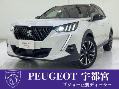 2021 Peugeot iOn GTDRIVEEDITION